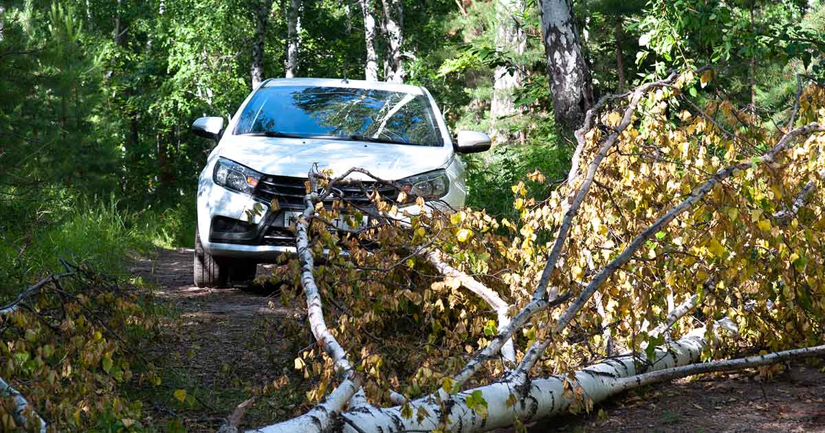 Proteção Veicular: um Investimento em Tempos de Clima Severo